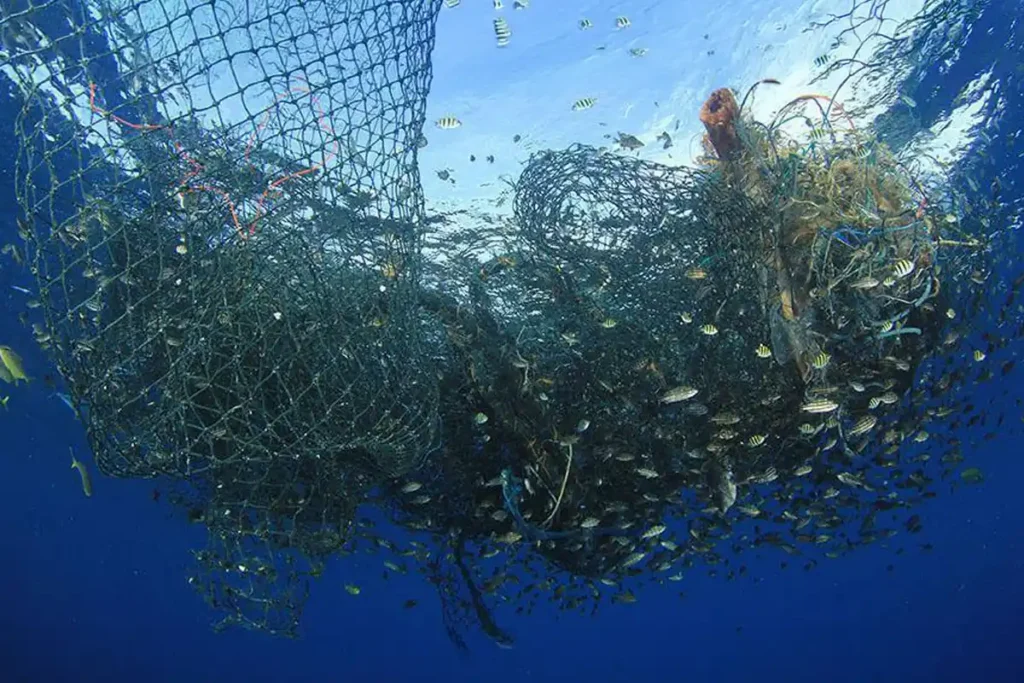 Unsustainable Fishing_ The Methods Doing the Most Damage