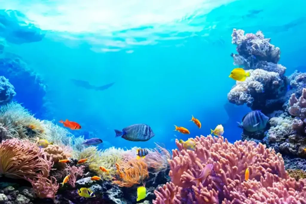 Climate Action Starts Below the Waterline