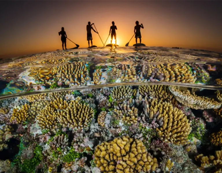 Building an ESG Strategy That Turns Nature Investment Into Real Business Value