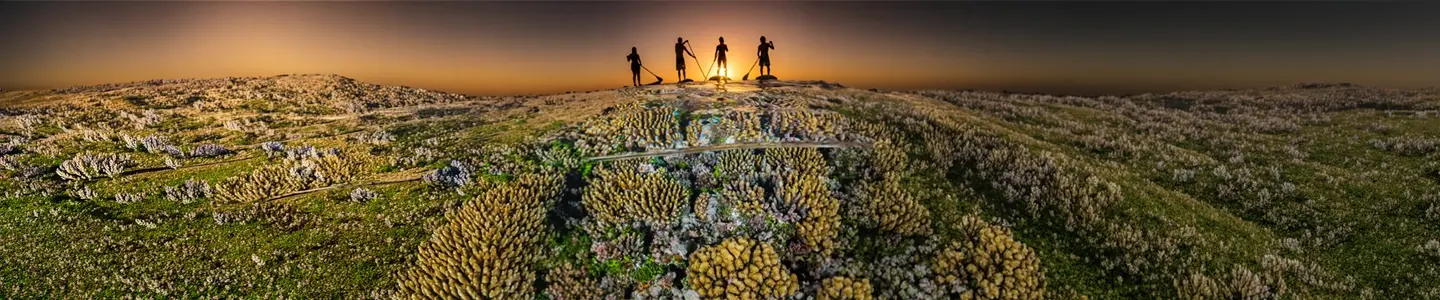 Building an ESG Strategy That Turns Nature Investment Into Real Business Value