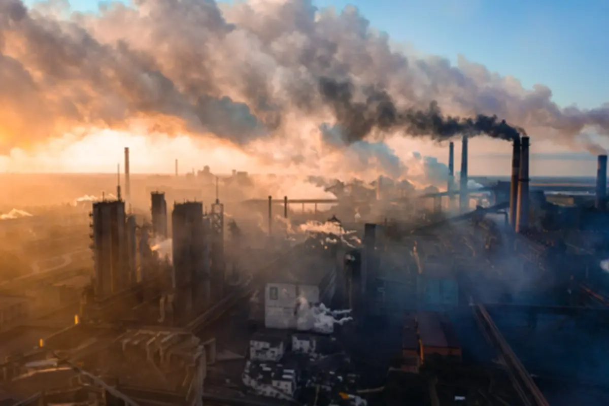 Environmental Impact The Pillar Stakeholders Notice First