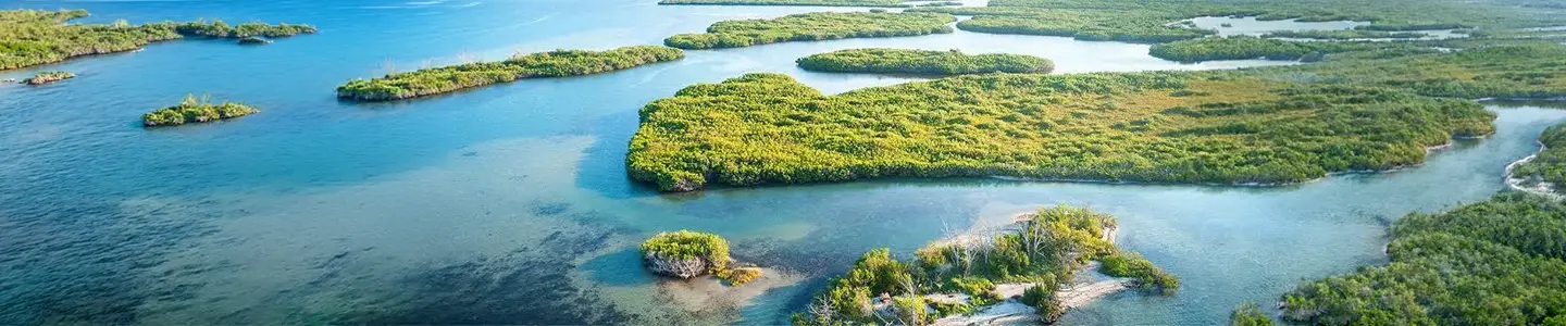 Nature-Based Solutions and the Business Case for Coastal Defense 01