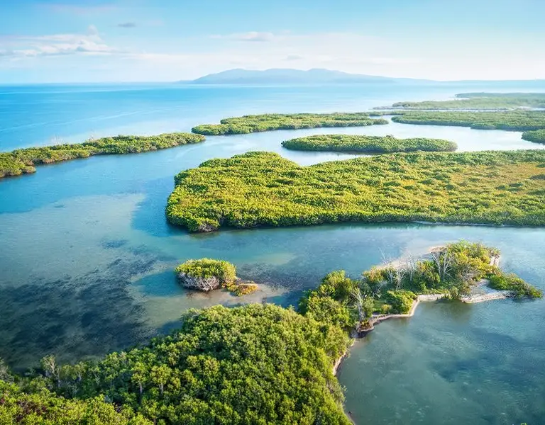 Nature-Based Solutions and the Business Case for Coastal Defense 02
