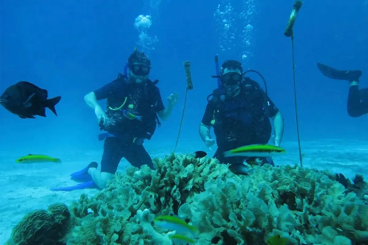 Where Coral Vita Fits Into an ESG Strateg