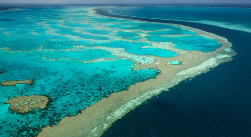 The Integrity Rule That Decides Whether a Credit Is Worth Anything