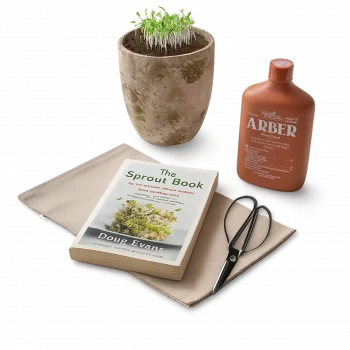 Eco Garden Sprout Gift Box