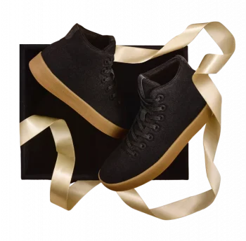 Allbirds Sustainable Footwear