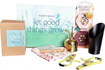 Limited Edition Gift Boxes